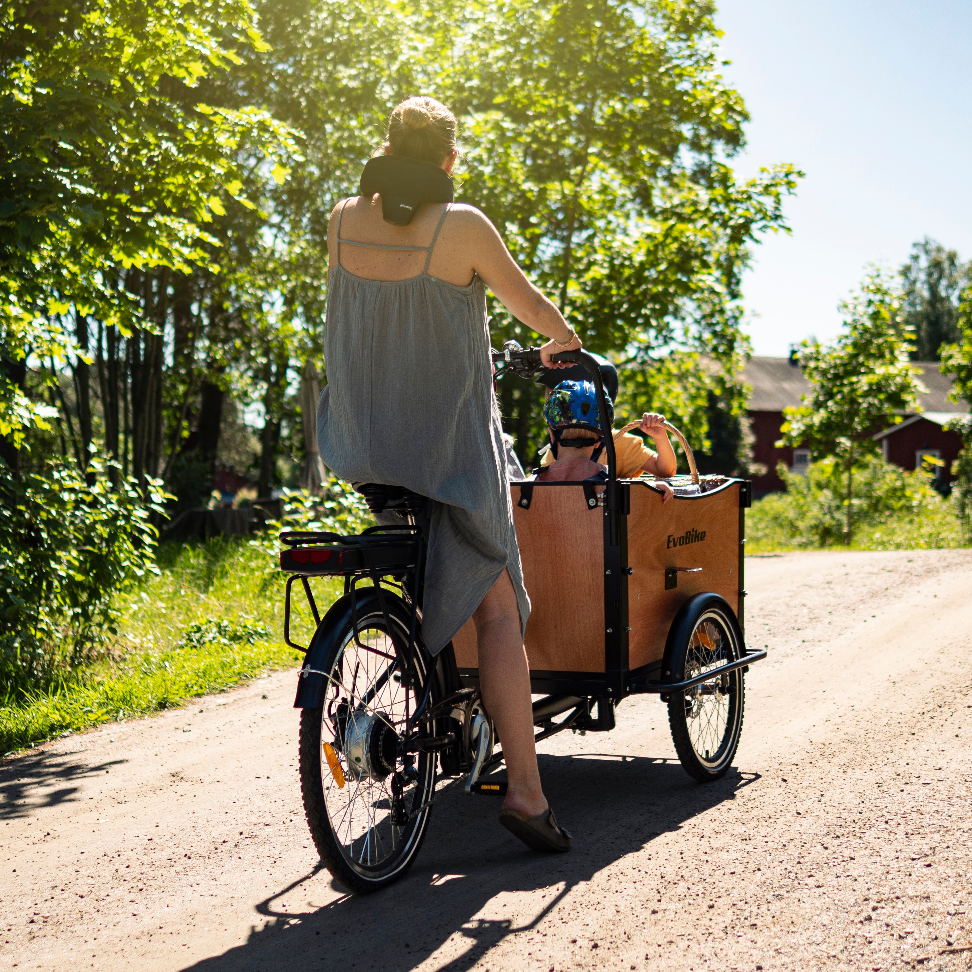 EvoBike Cargo Classic