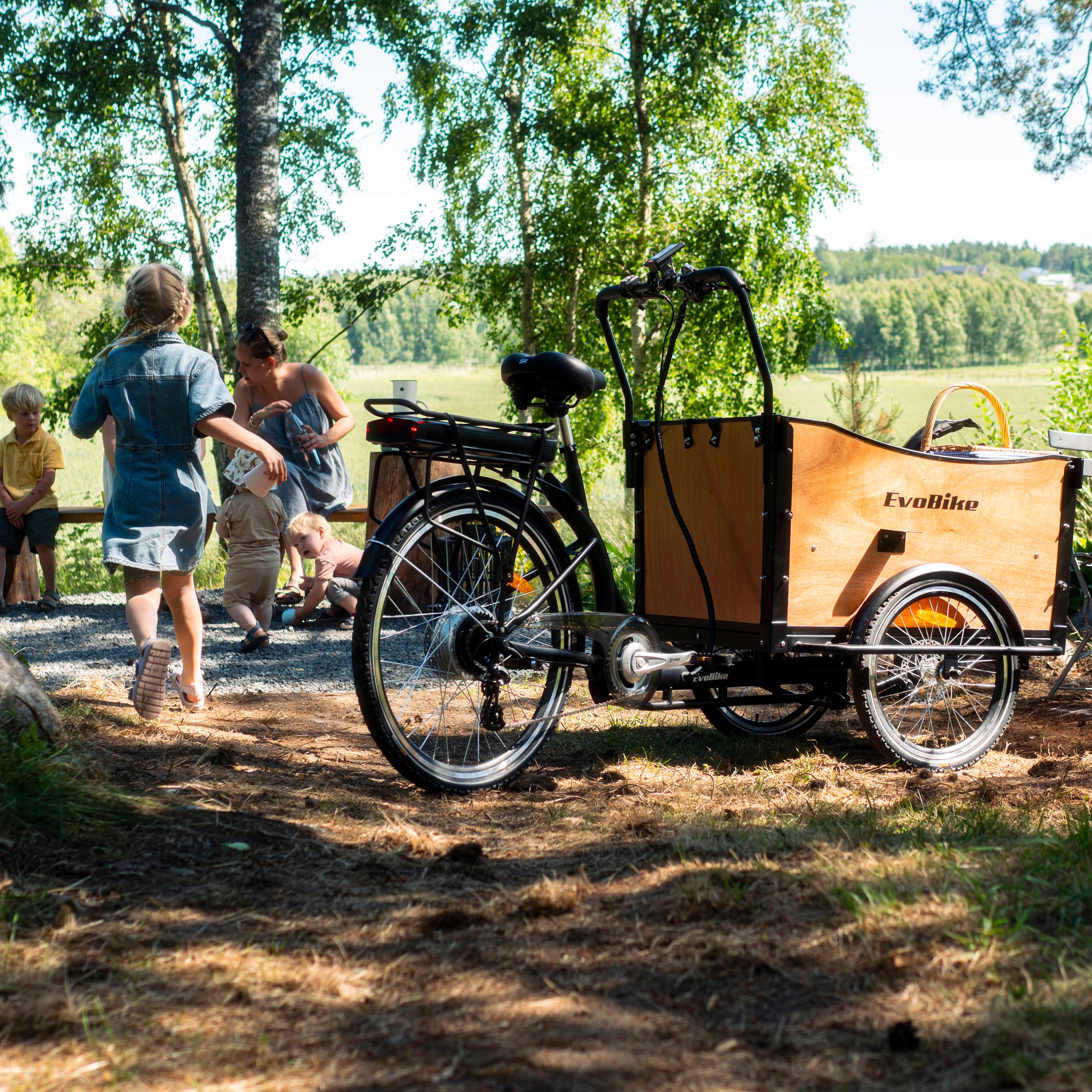 EvoBike Cargo Classic